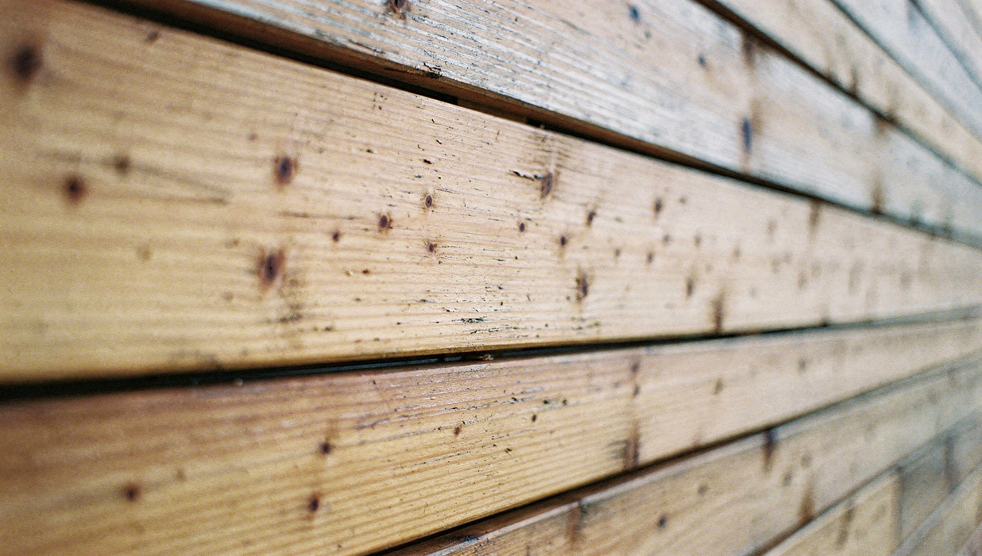 Lärchenschalung einer Holzfassade, im flachen Winkel entlang der Bretter aufgenommen